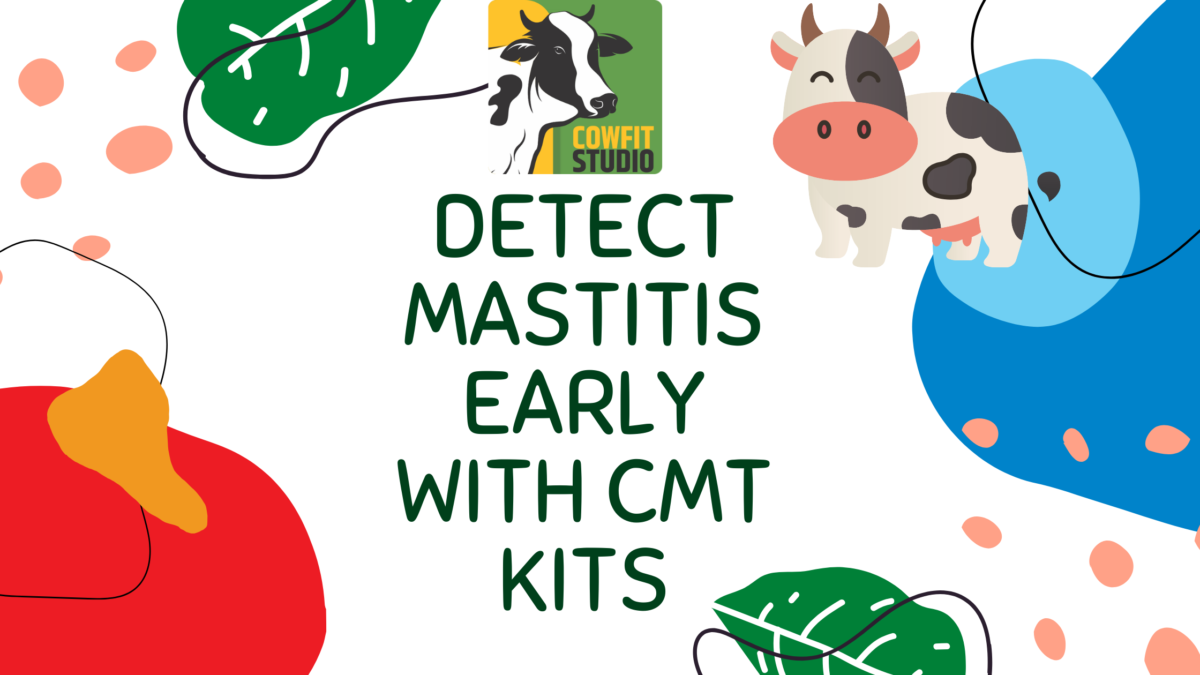 How to Detect Mastitis in Cows Using CMT Test Kit
