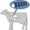 Cow Rumen Magnet