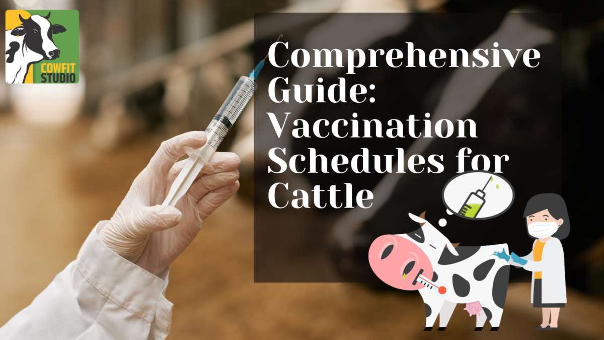 Comprehensive Guide: Vaccination Schedules for Cattle