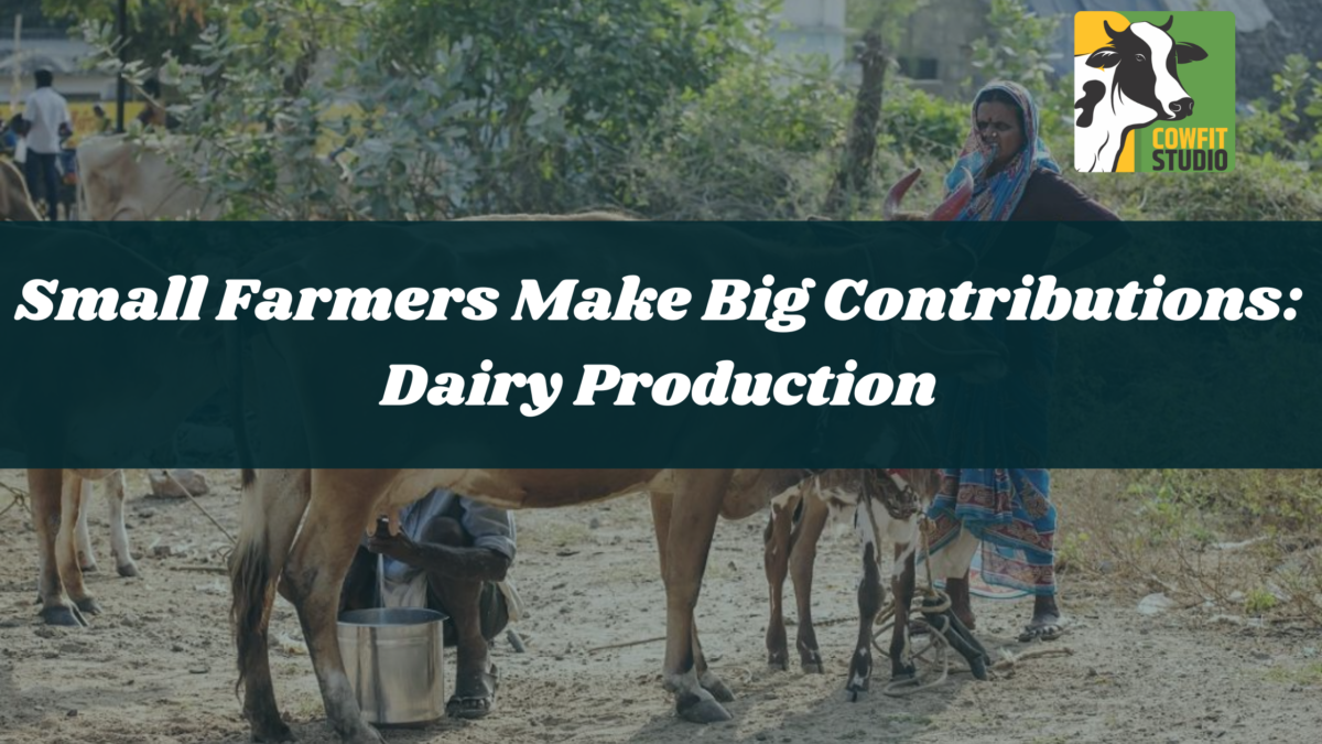 Small Farmers Make Big Contributions: Dairy Production
