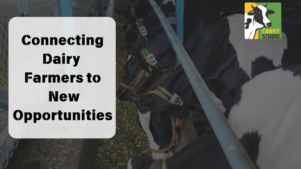 Connecting Dairy Farmers to New Opportunities